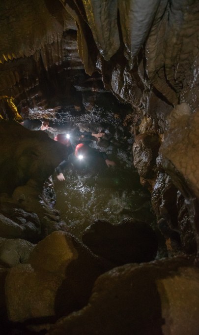 Waitomo Adventures - Caving, Abseiling & Black Water Rafting Tours